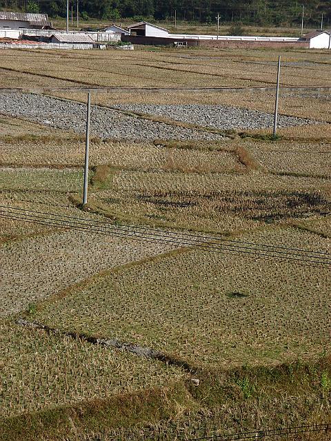 DSC07168.jpg