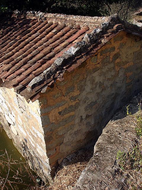DSC07185.jpg