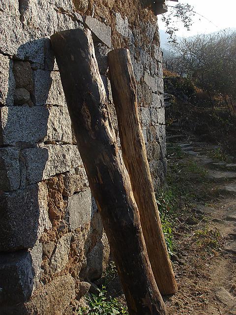 DSC07197.jpg