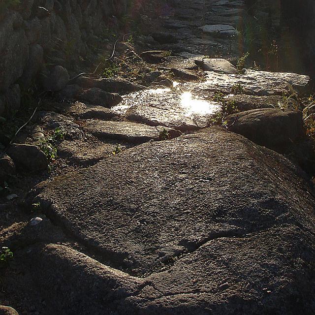 DSC07201.jpg
