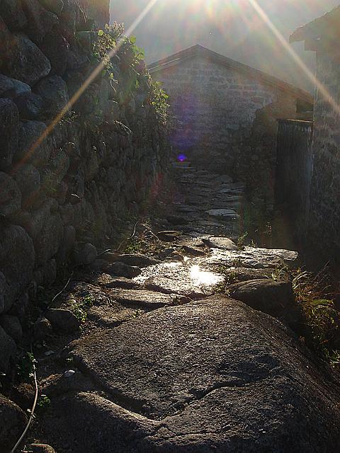DSC07201_original.jpg