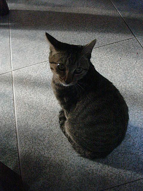 DSC07229.jpg