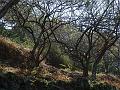 DSC07170
