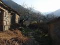 DSC07196